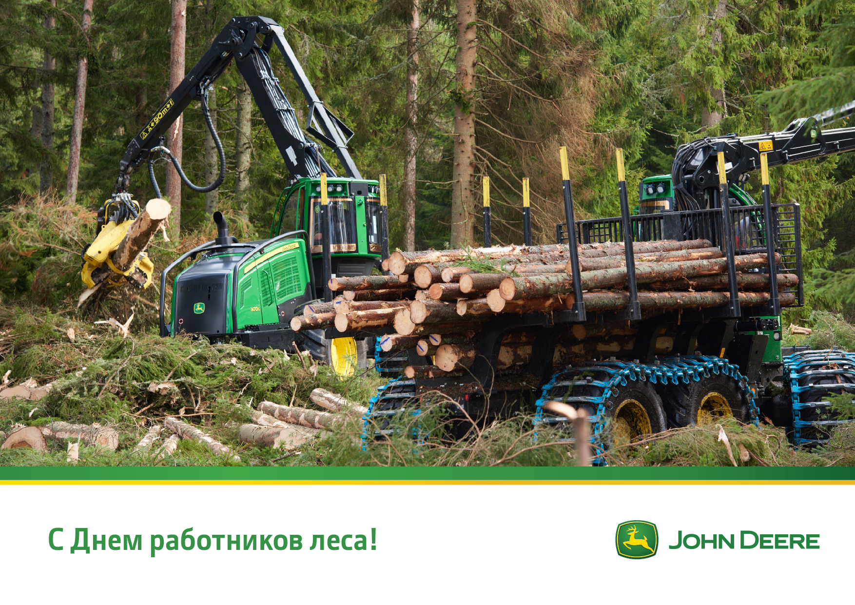 С Днем работника леса! в Перми
