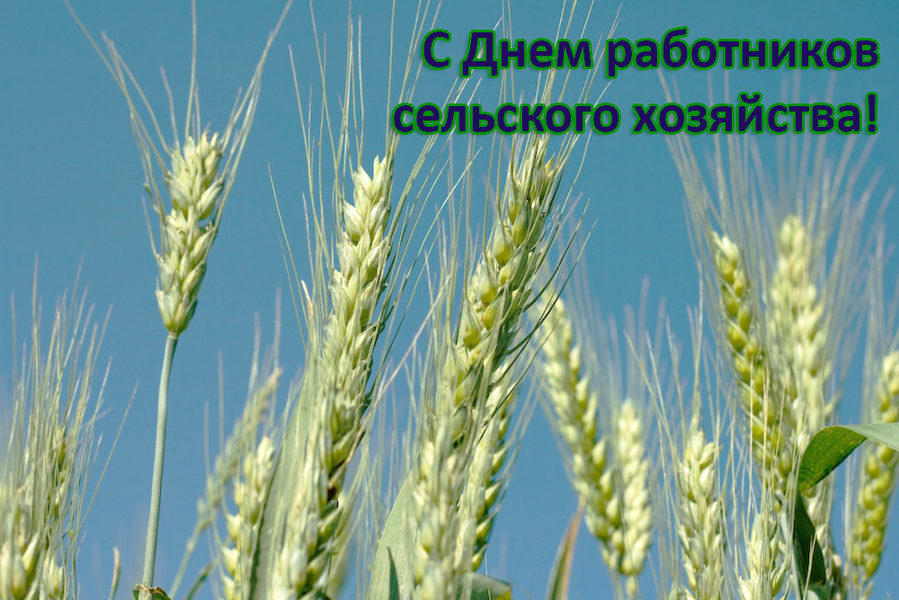 Специальные условия для сельхозпредприятий! в Перми